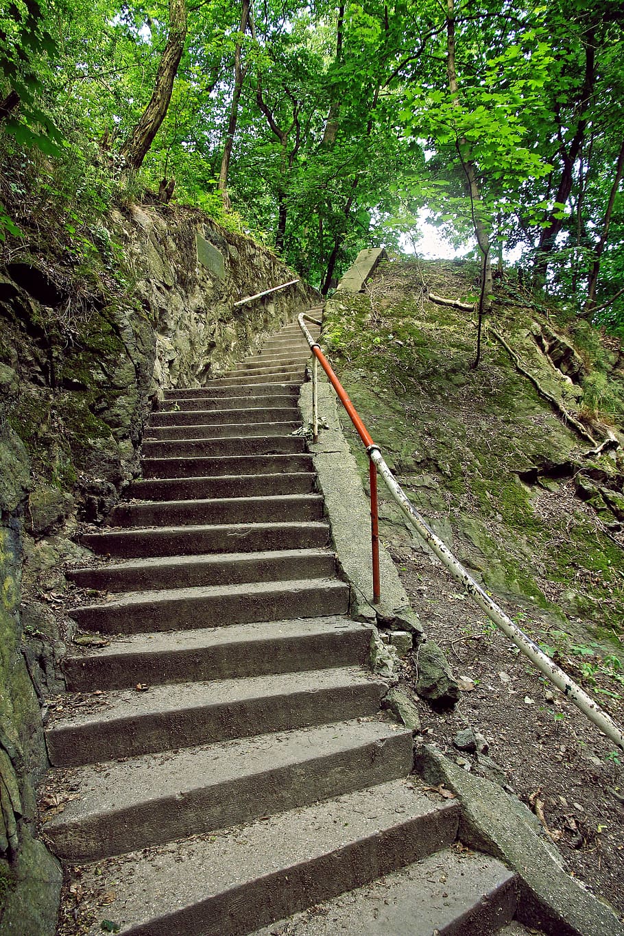 Stairs, Forest, summer, green, grey, path, a walk, tourism HD wallpaper