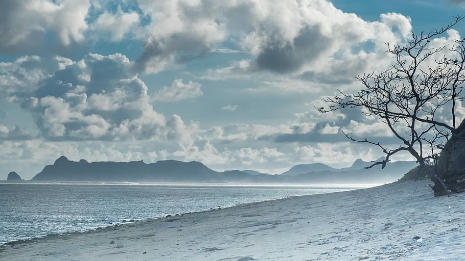 snow covered ground, shore near calm body of sea under white cloud blue skies HD wallpaper