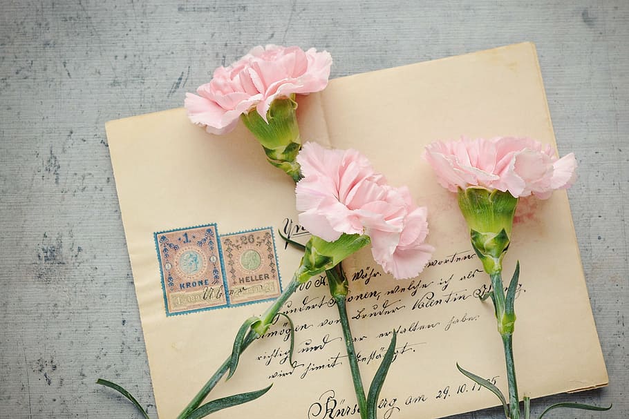 three pink petaled flowers, letters, envelope, old, antique, post, HD wallpaper