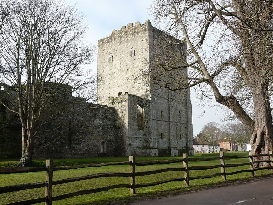 portchester, castle, keep, ruins, middle ages, fortress, tree HD wallpaper