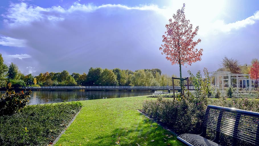 Black Metal Bench on Grassy Garden, clouds, daylight, lake, landscape HD wallpaper