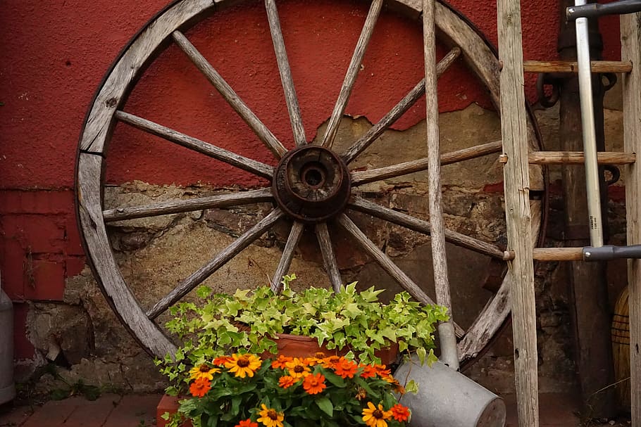 orange and yellow flowers near brown wooden wheel, wagon wheel HD wallpaper