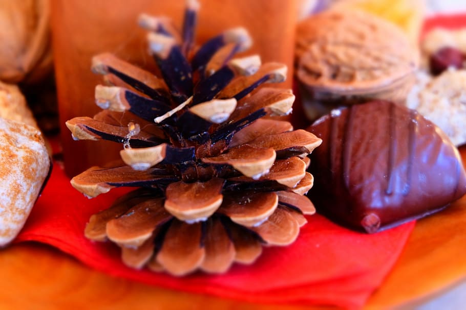 pine cones, advent, gingerbread, christmas, food, spice, close-up HD wallpaper