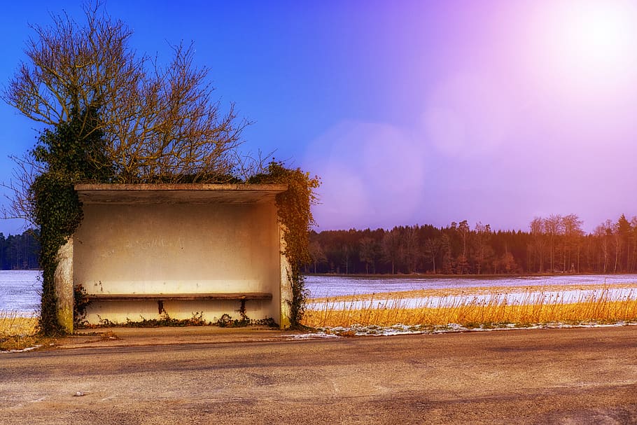 stop, bus stop, road, winter, wintry, wait, bank, tree, plant HD wallpaper