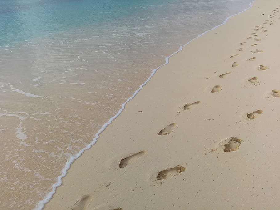 foot trails in beach sand, footprints, water, footstep, sea, ocean