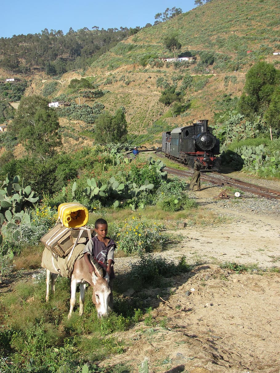 Eritrea, Landscape, Boy, Donkey, Train, hills, trees, plants HD wallpaper