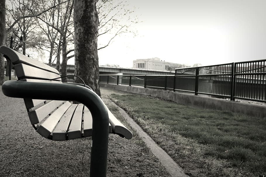 bench, river, park, built structure, tree, architecture, nature HD wallpaper