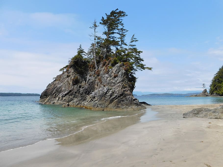 Brady, Beach, Coast, Sea Stack, Ocean, brady's beach, landscape HD wallpaper