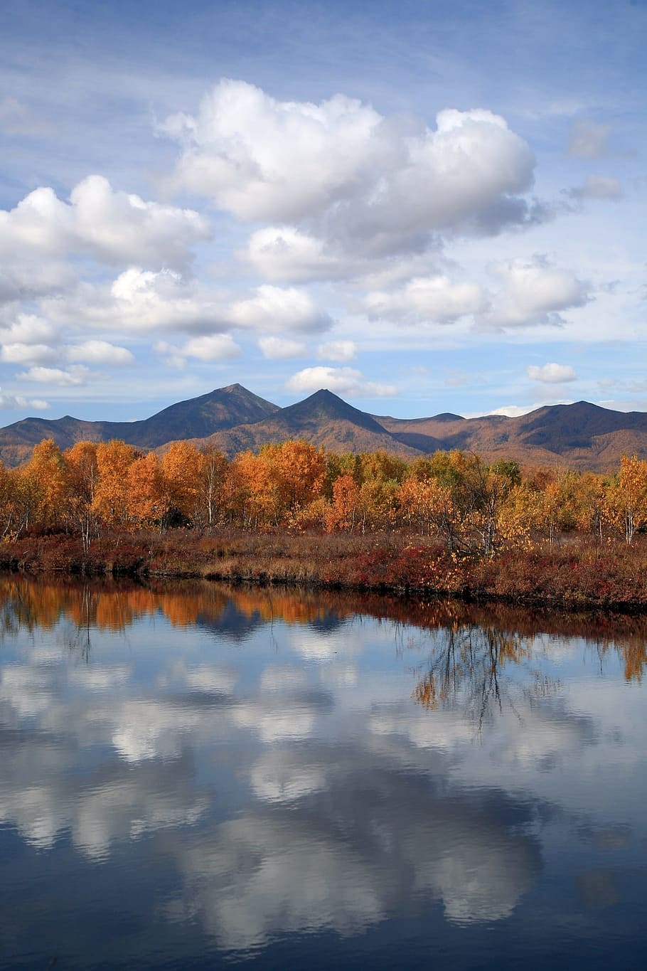 autumn, forest, lake, reflection, autumn forest, golden autumn HD wallpaper