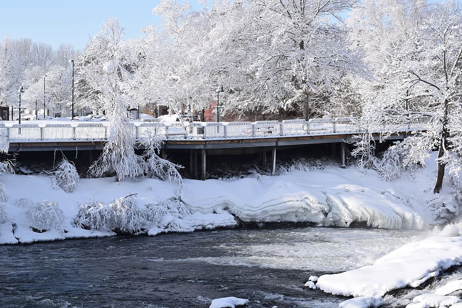 winter, cold, frozen, snow, ice, bridge, cold temperature, tree HD wallpaper