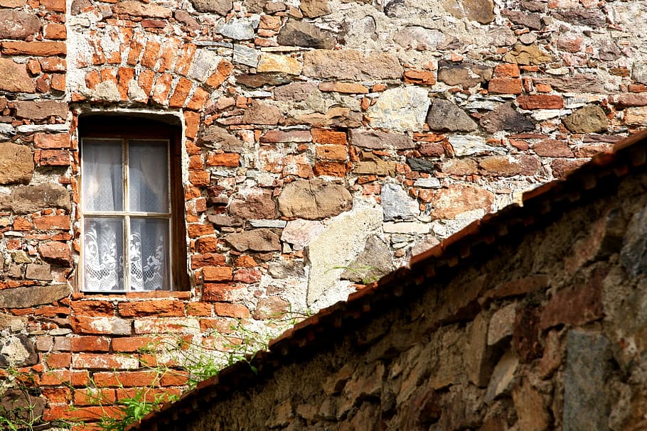 green plants under window, old house, old wall, bricks, building HD wallpaper