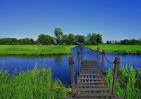 gray wooden dock, bridge, river, blue sky, greenery, grass HD wallpaper
