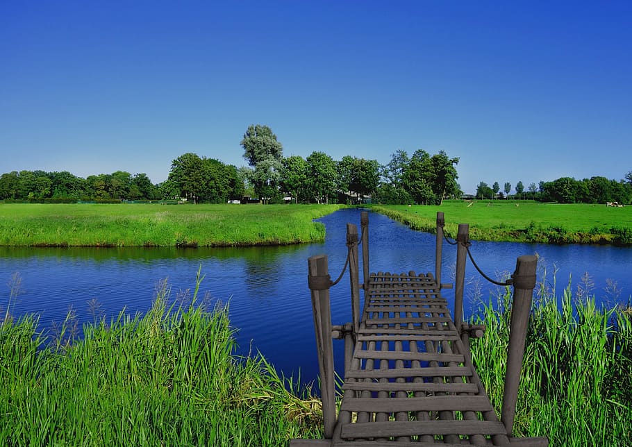 gray wooden dock, bridge, river, blue sky, greenery, grass HD wallpaper