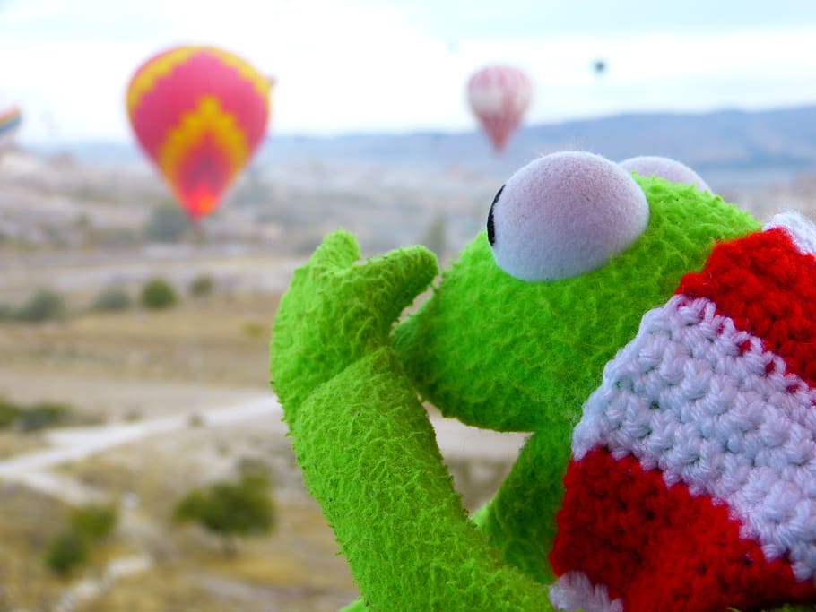 selective focus photography of frog plush toy, kermit, go balloon HD wallpaper
