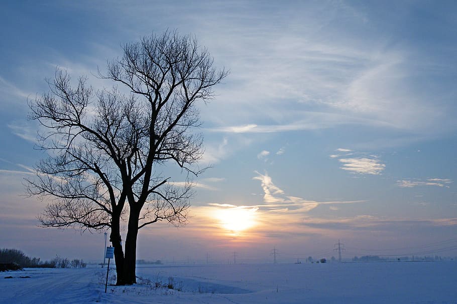 Winter, Impressions, Wintry, Snow, Cold, winter impressions HD wallpaper