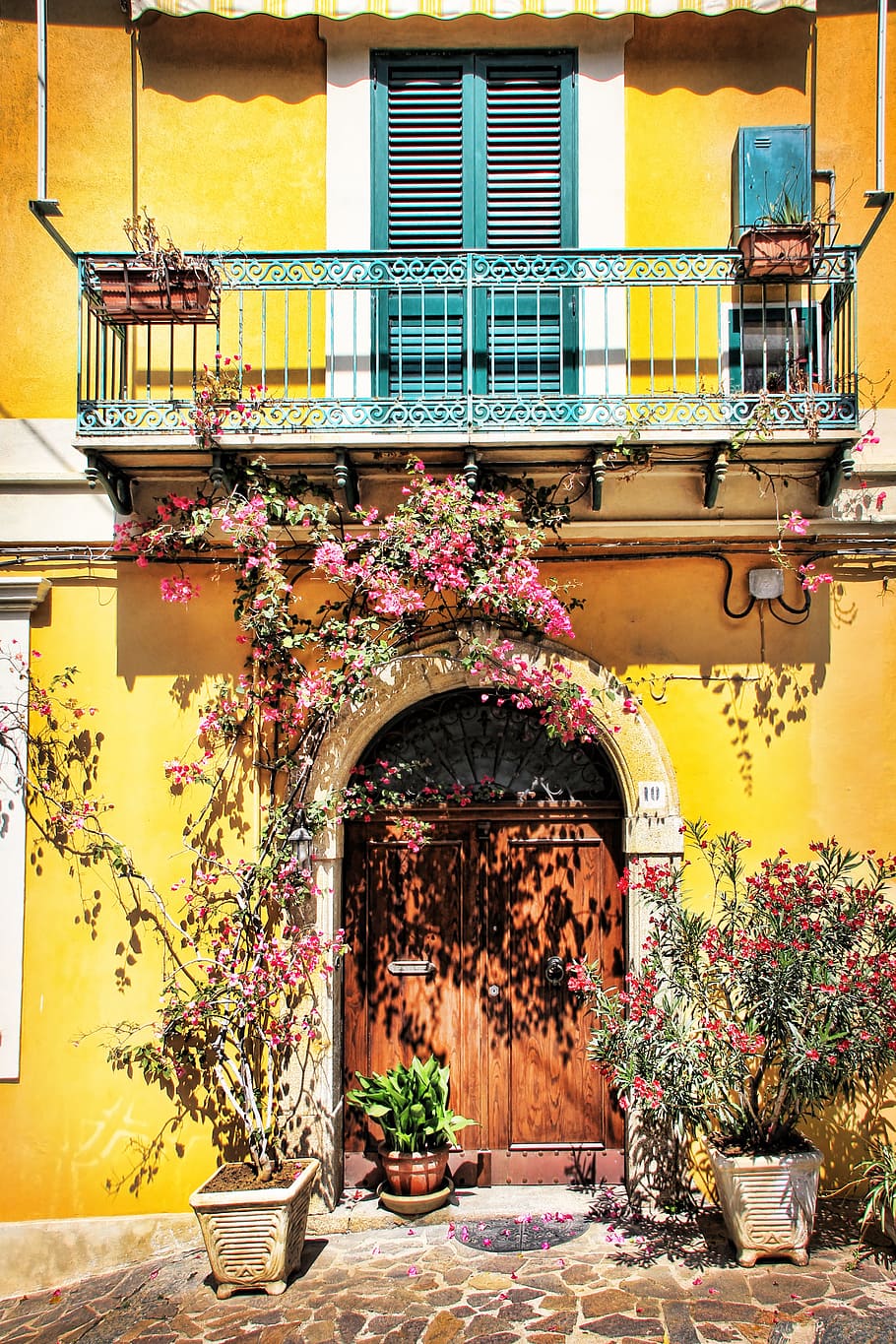 red bougainvillea flowers, facade, calabria, colorful, flowers housewife, HD wallpaper