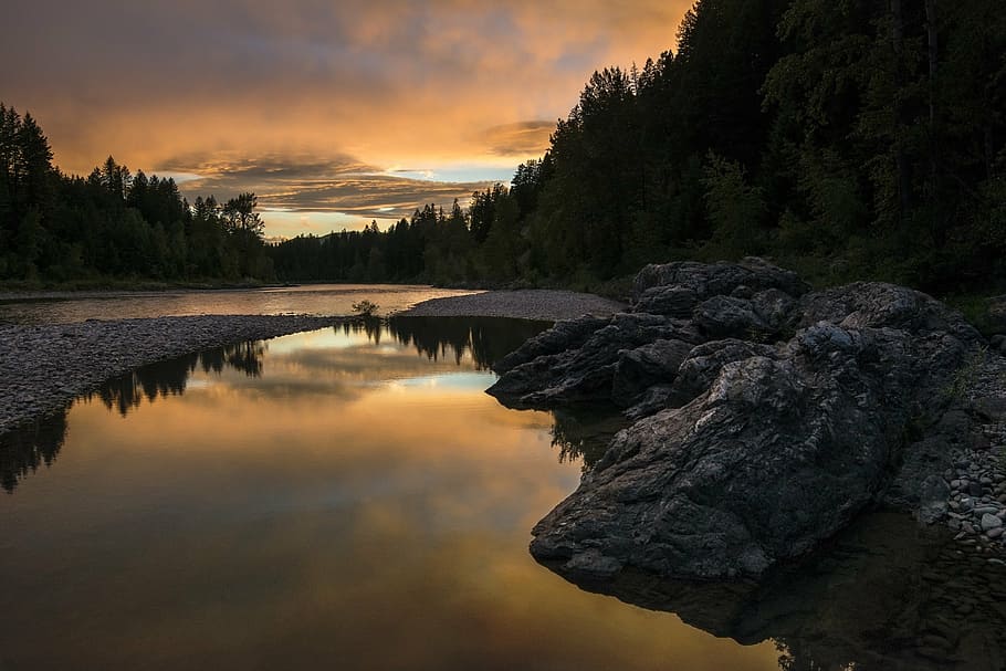 green leaf trees near body of water, sunset, river, reflection HD wallpaper