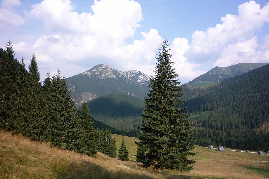 tatry, poland, mountains, landscape, nature, the national park HD wallpaper