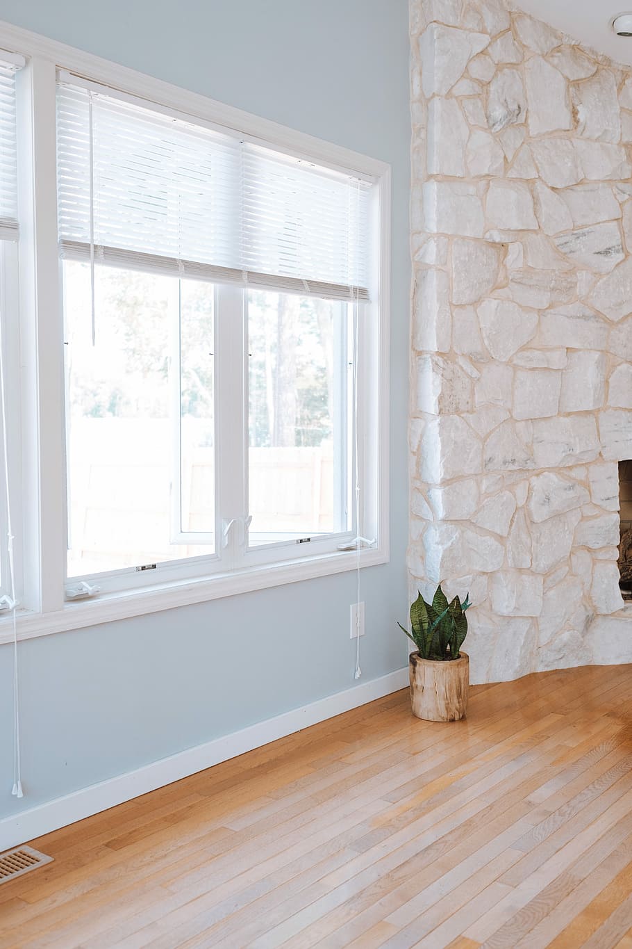 white framed clear glass window, plant in brown plant pot beside window, HD wallpaper