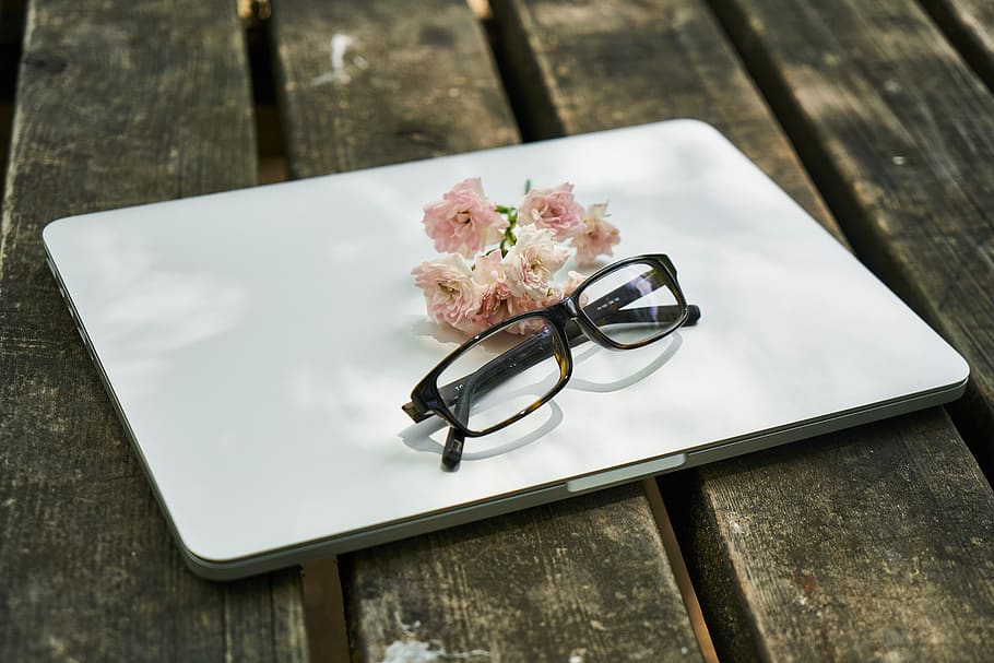 laptop, flower, eyewear, computer, the work, technology, contact HD wallpaper