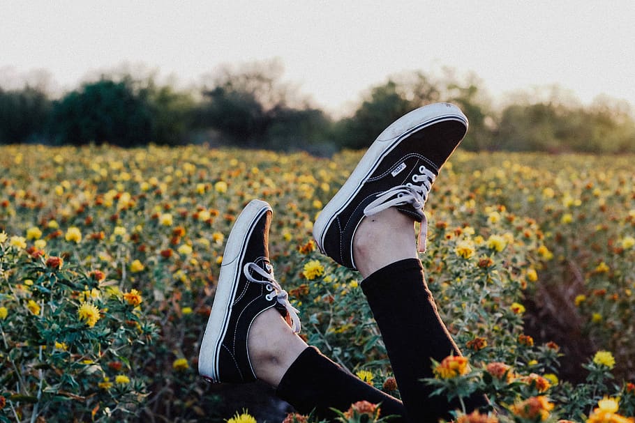 countryside, person wearing black-and-white Vans Era sneakers lying over field full of flowers