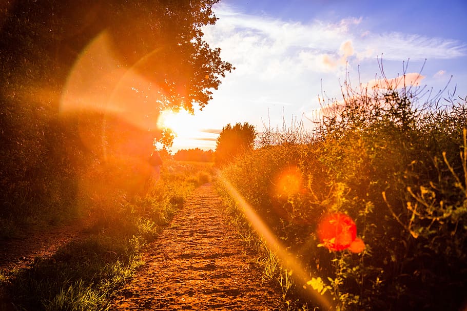 Lights will shine, path, trail, sunset, countryside, nature HD wallpaper