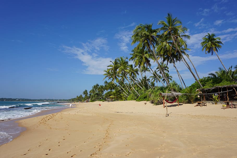 Beach, Sand, Tropical, Vacation, Travel, coast, landscape, paradise, HD wallpaper