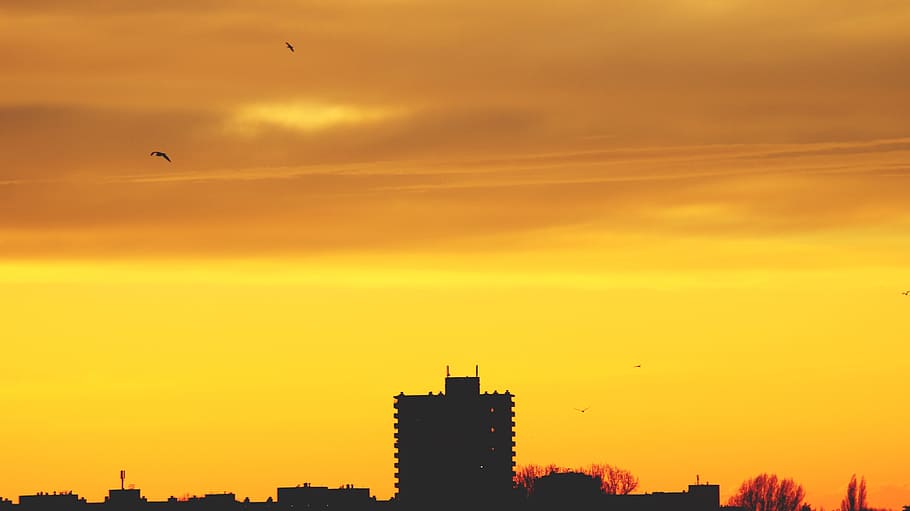 dawn, nature, sky, clouds, backlit, buildings, dusk, environment HD wallpaper