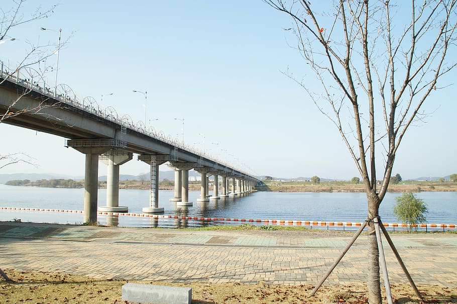 overpass, riverside, field, korea, landscape, nature, forest HD wallpaper