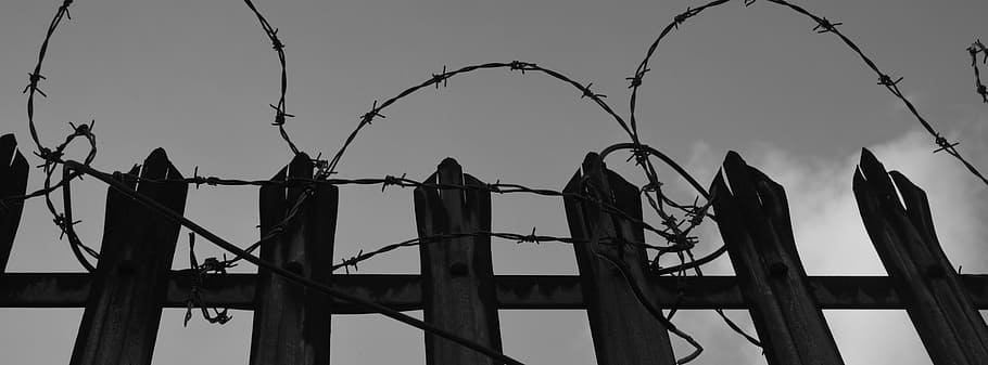 brown wooden fence, secretion, barbed Wire, boundary, safety HD wallpaper