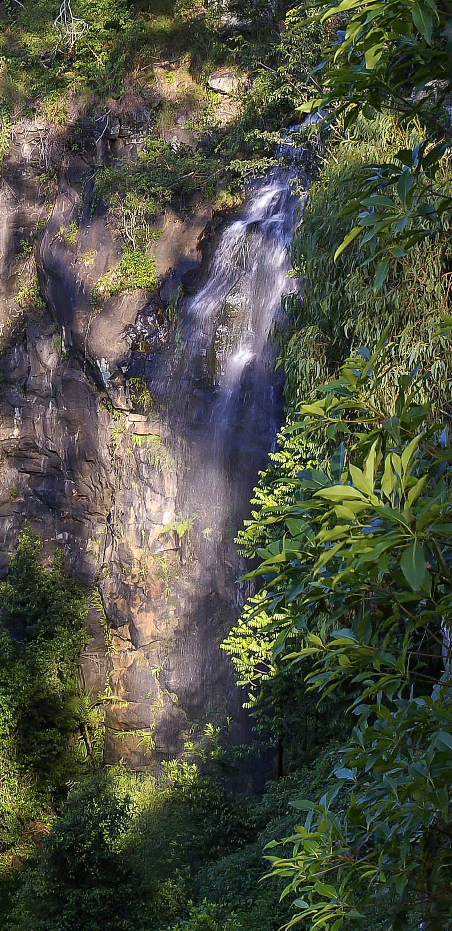 water fall, falls, rock, cliff, steep, green, subtropical, rain forest HD wallpaper