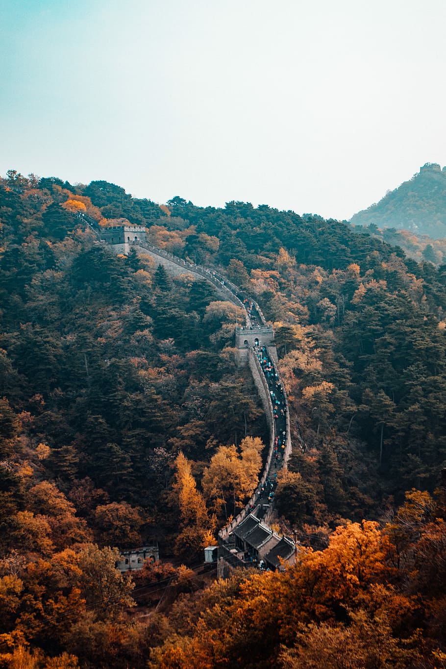 bird's eye view photography of Great Wall of China, Great Wall of China HD wallpaper