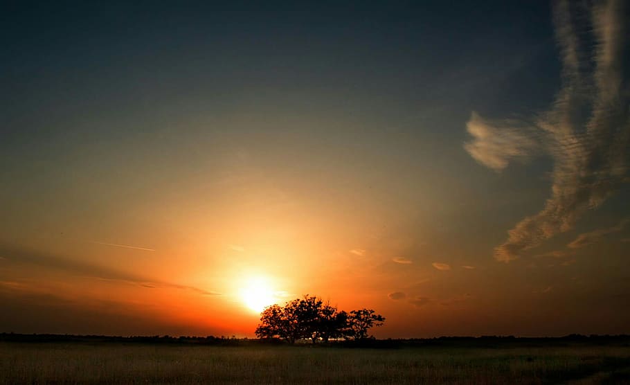 sundown, tree, bare, sunset, sky, scenics - nature, tranquil scene HD wallpaper