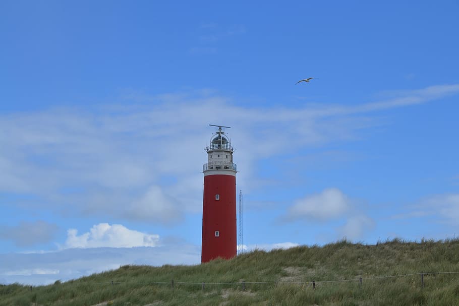 lighthouse, texel, sky, lake, holiday, beach, north sea, built structure HD wallpaper