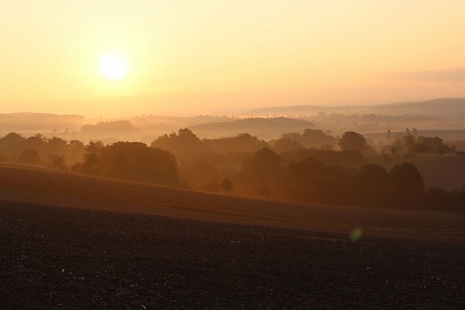 wide field during sunset, sunrise, landscape, tree, horizon HD wallpaper