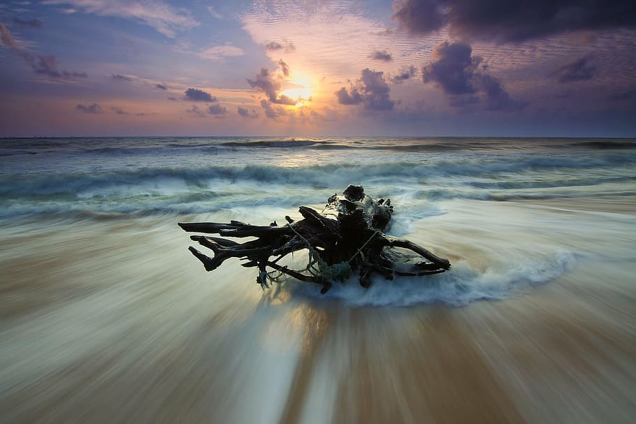 time lapsed photo of driftwood, beach, dawn, dusk, landscape HD wallpaper