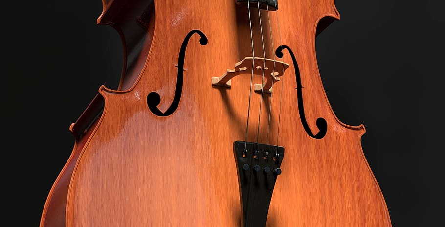 brown cello string instrument, strings, stringed instrument HD wallpaper