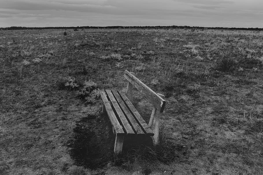 black and white, bench, grass, relax, field, sky, landscape HD wallpaper