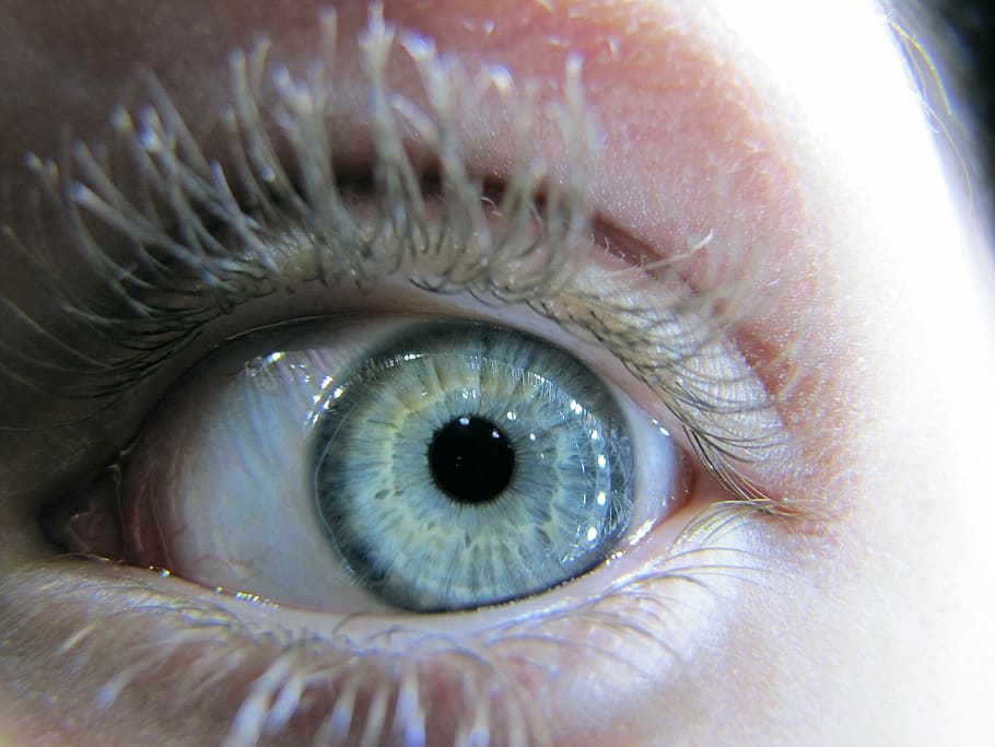 close up photo of person's eye, szupermakró, macro, iris, watch HD wallpaper