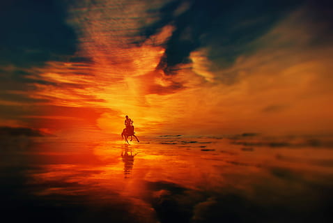silhouette of man riding a horse, man riding on horse, sunset HD wallpaper