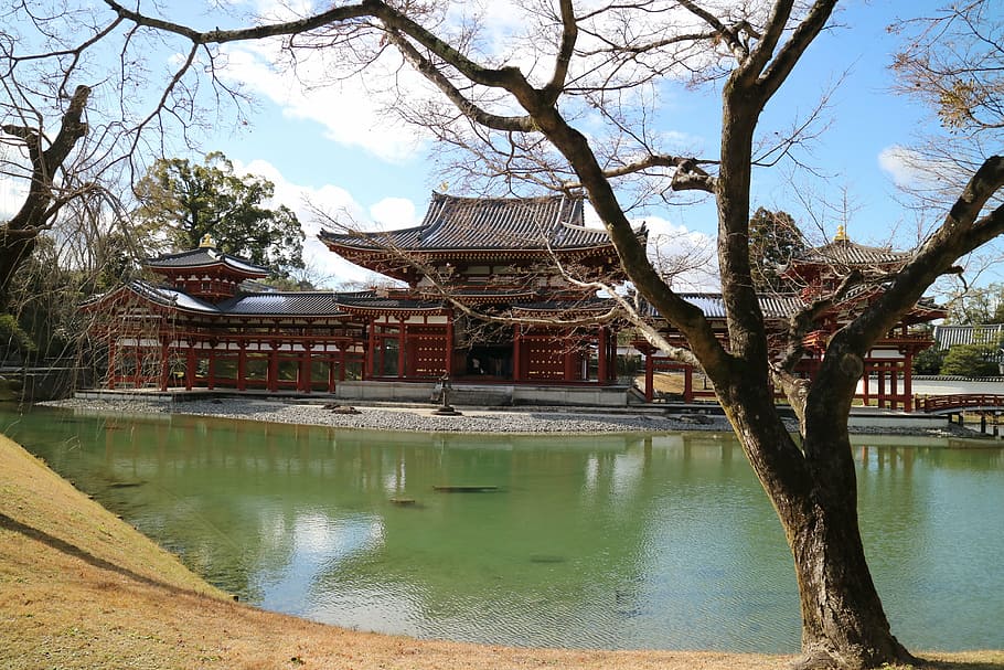 lake view, byodo-in temple, uji, water, architecture, built structure HD wallpaper