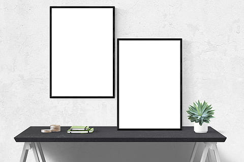 green leaf plant in white pot, mockup, wall, poster, frame HD wallpaper