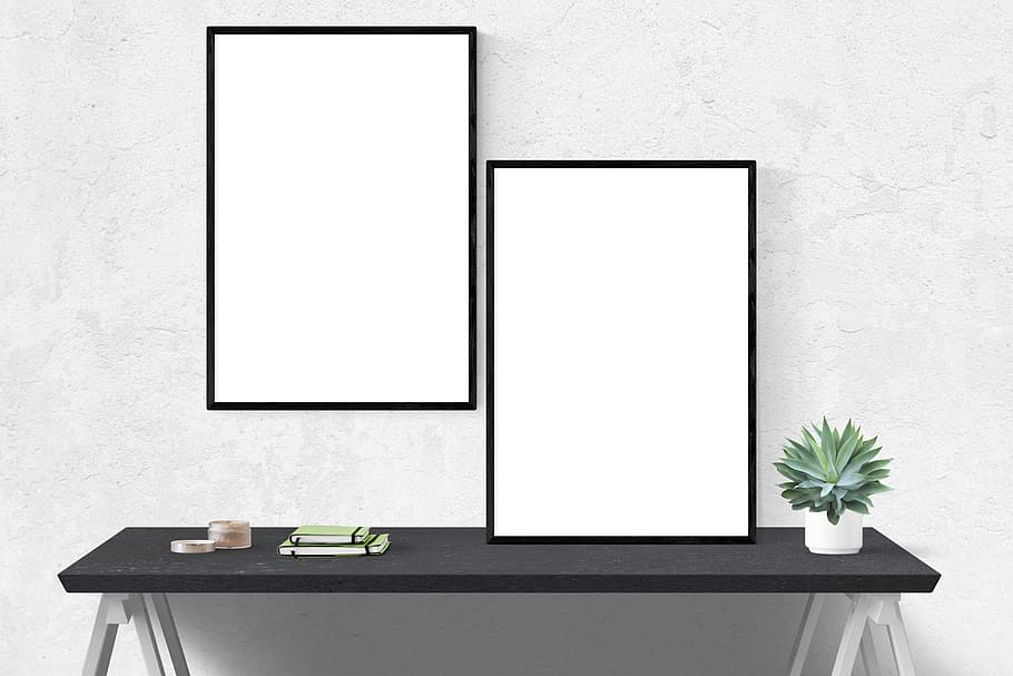 green leaf plant in white pot, mockup, wall, poster, frame HD wallpaper
