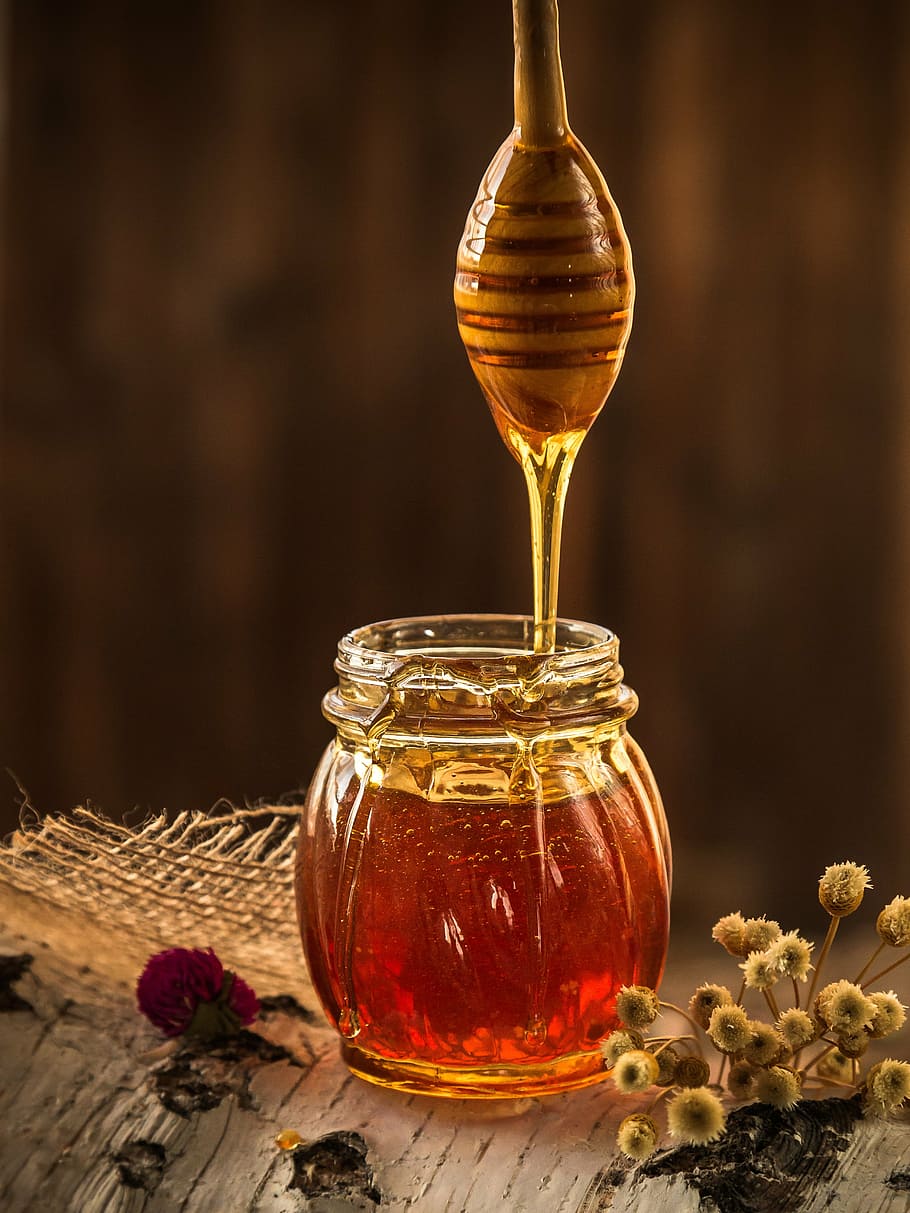 brown honey, yellow, beekeeper, nature, pollen, flower, beekeeping, HD wallpaper