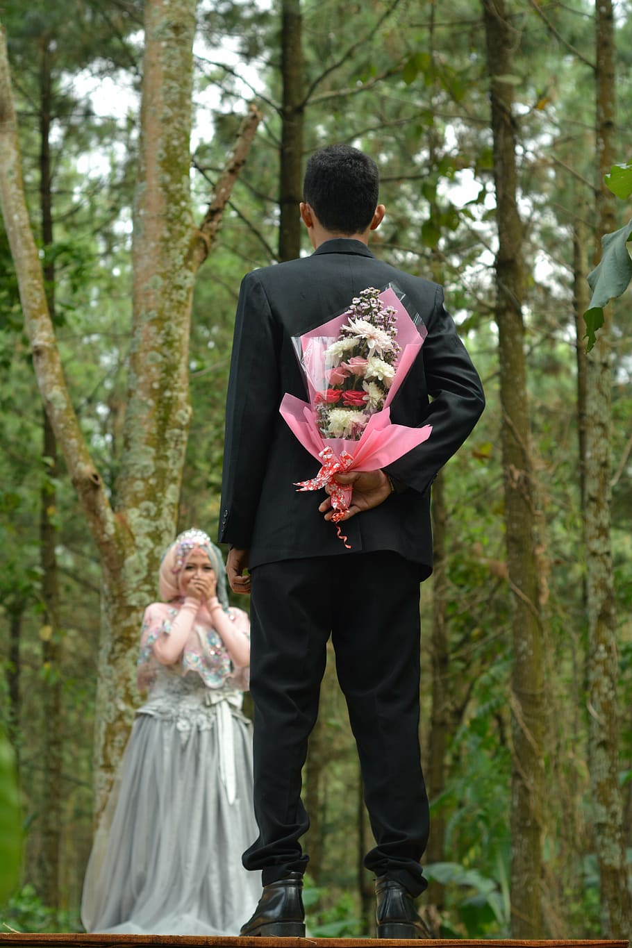 surprise, gift, flower, tree, plant, two people, togetherness HD wallpaper