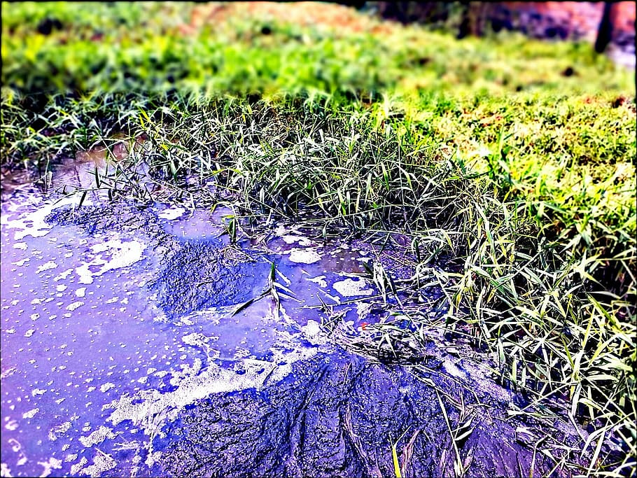 purple body of water flowing on grass, Pollution, Environment HD wallpaper