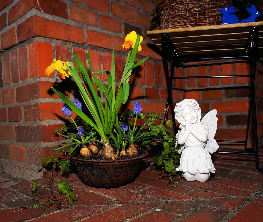Decoration, Angel, Daffodils, Easter, figure, hope, ornament HD wallpaper
