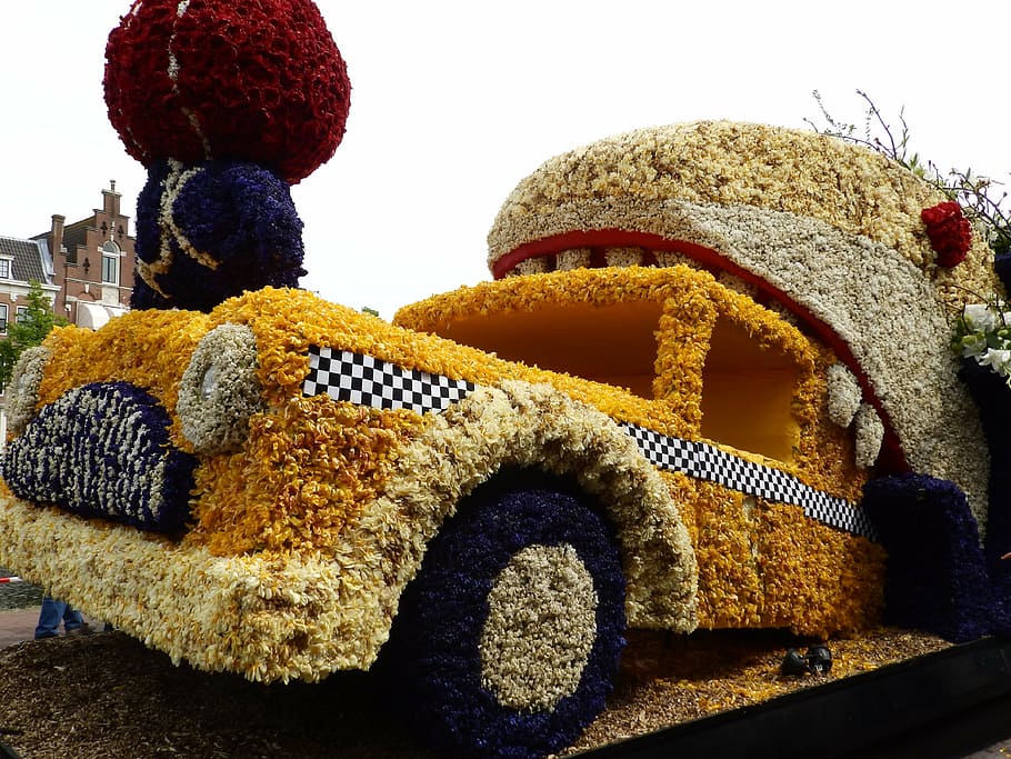 flowers, oldtimer, harlem, netherlands, bulb, no people, creativity HD wallpaper