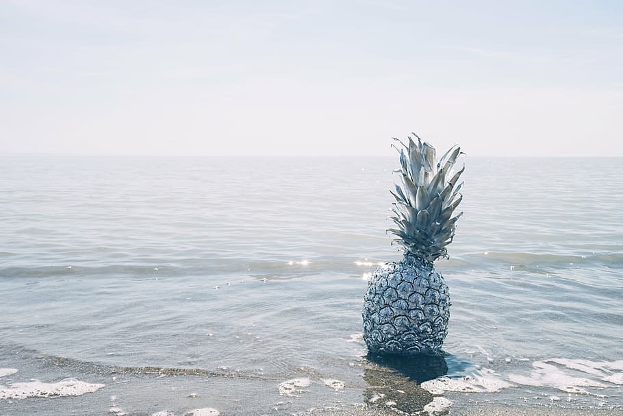 pineapple fruit on body of water during daytime, dessert, appetizer HD wallpaper