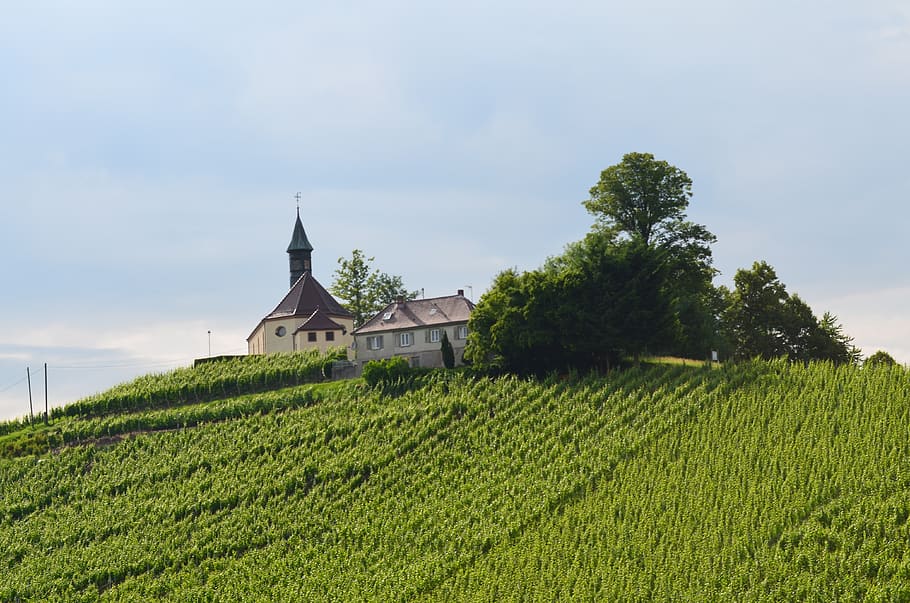 church, mountain, vineyard, plant, green color, built structure HD wallpaper